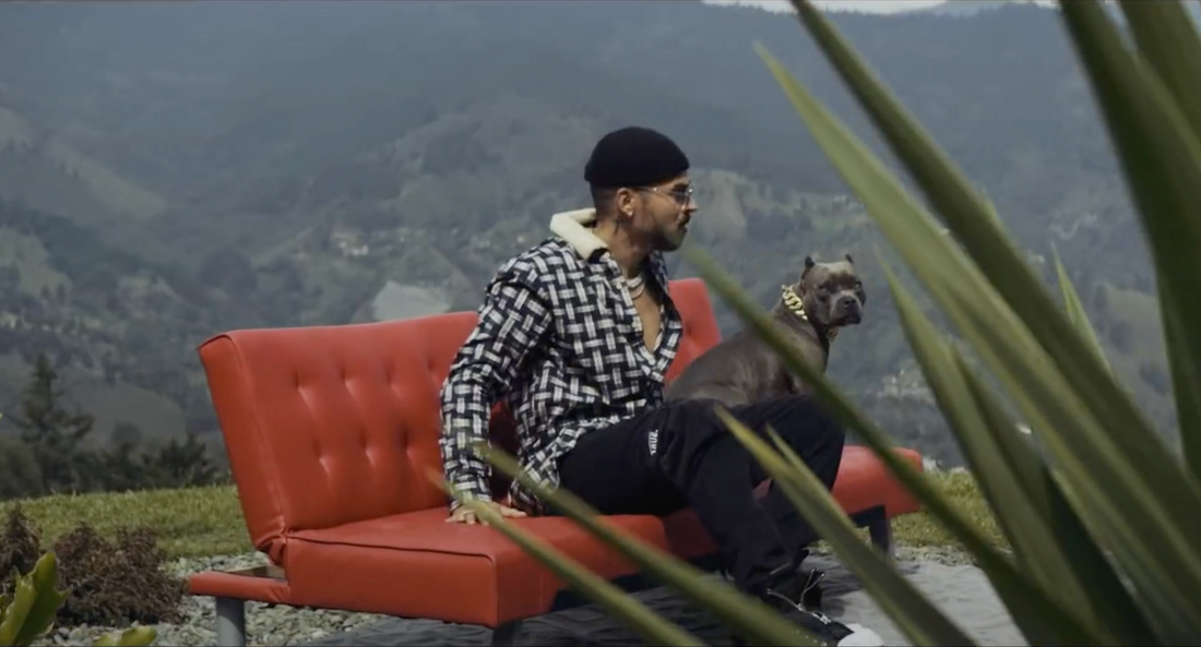 Reggaeton star Reykon spotted in a couple THC pieces!